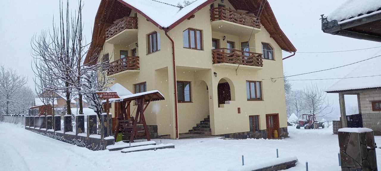 Sub Creasta Cocosului Hotell Breb Exteriör bild